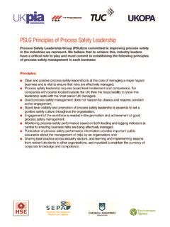 pslg principles of process safety leadership